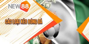 New88 -  Chia Sẻ Các Loại Kèo Bóng Đá Phổ Biến Nhất 2024